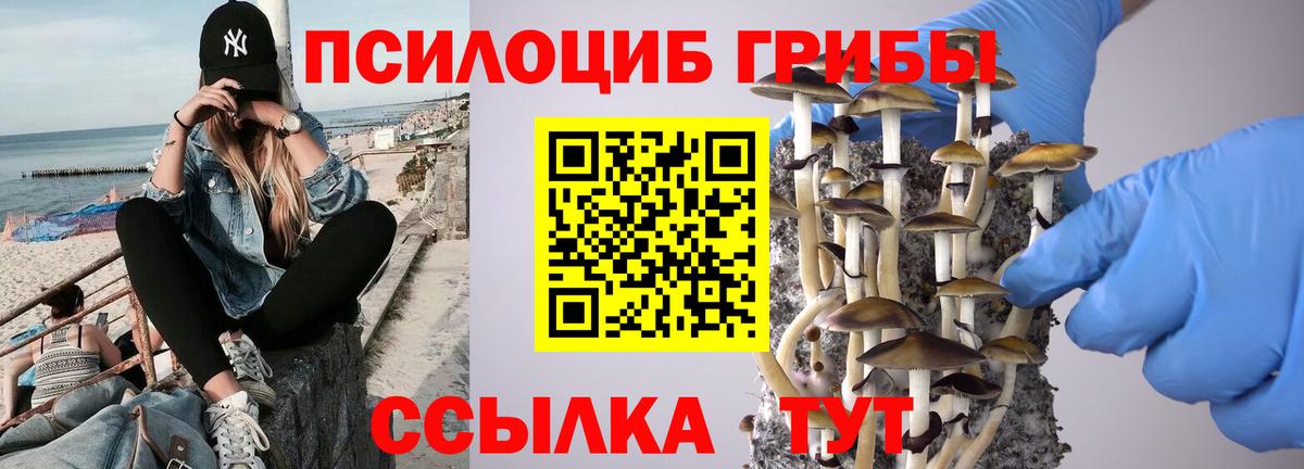 Галлюциногенные грибы Magic Shrooms  Вход с VPN  Изобильный  Псилоцибиновые грибы прущие грибы 